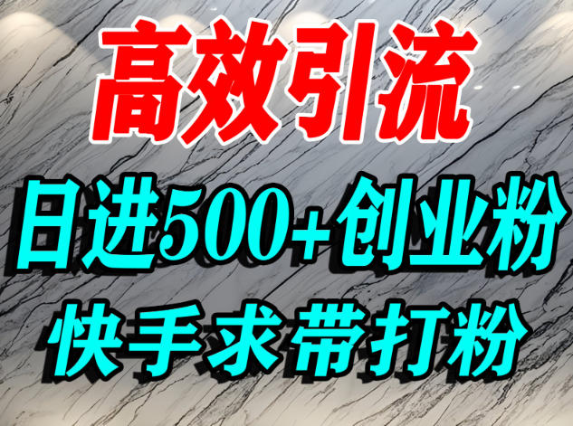怎么打创业粉？快手求带视角精准引流创业粉，宝妈、学生群体日进500+精准流量-快名资源网
