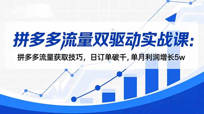 拼多多流量双驱动实战课：拼多多流量获取技巧，日订单破千,单月利润增长5w-快名资源网