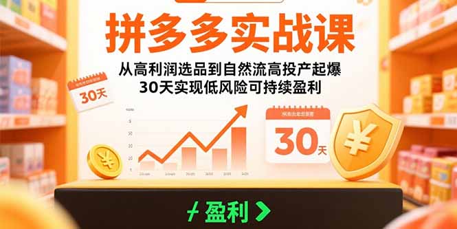 拼多多实战课：从高利润选品到自然流高投产起爆 30天实现低风险可持续盈利-快名资源网