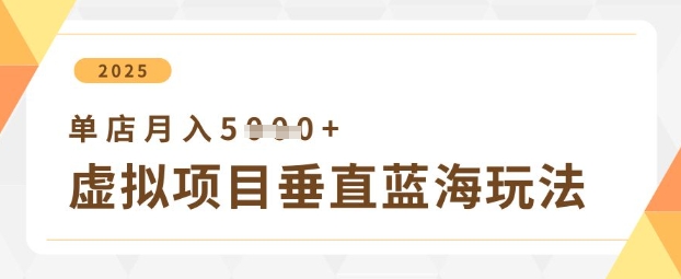 虚拟项目垂直玩法，实现单店月入5k+-快名资源网