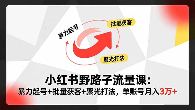 小红书野路子流量课：暴力起号+批量获客+聚光打法，单账号月入3万+-快名资源网