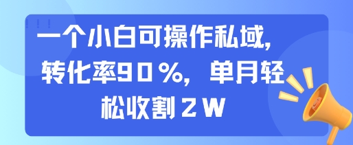 一个小白可操作私域，转化率90%，单月轻松收割2W-快名资源网