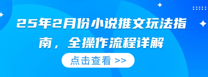 25年2月份小说推文玩法指南，全操作流程详解-快名资源网