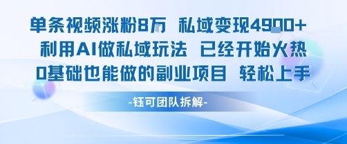 单条视频私域变现4.9k+利用AI做私域玩法 已经开始火热0基础也能做的副业项目轻松上手-快名资源网