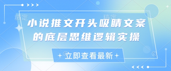 小说推文开头吸睛文案的底层思维逻辑实操-快名资源网