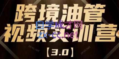 阿蔺Leo·跨境油管视频YouTube实训营(更新2025)-青虫资源网