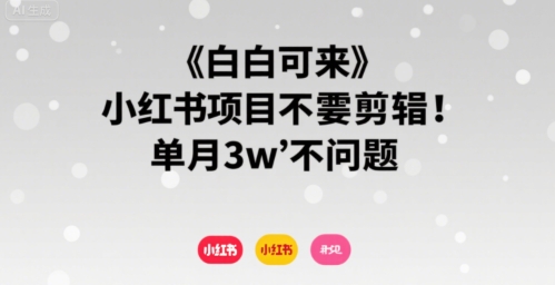 小白可来 小红书项目不需要剪辑 单月3w不是问题-快名资源网