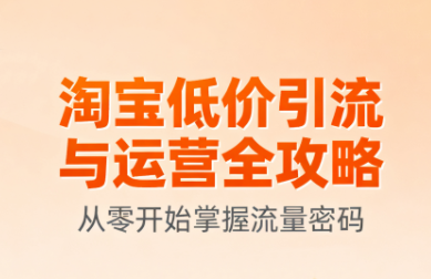 淘宝低价引流与运营全攻略(更新9月)-快名资源网