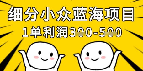 细分小众蓝海项目，一单利润3张，每月收入稳定过1w+-快名资源网