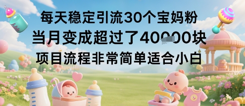 每天稳定引流30个宝妈粉当月变成超过了1W+项目流程非常简单适合小白-快名资源网