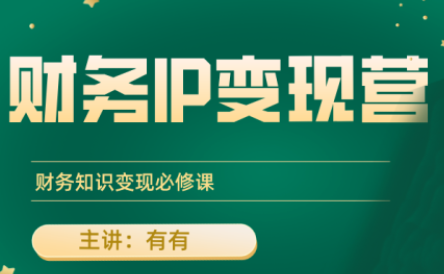 有有老师·财务IP变现营，财务知识变现必修课-快名资源网