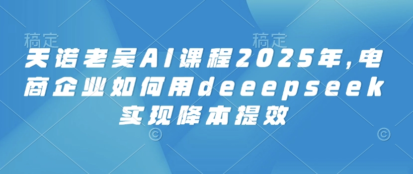 天诺老吴AI课程2025年，电商企业如何用deeepseek实现降本提效-快名资源网