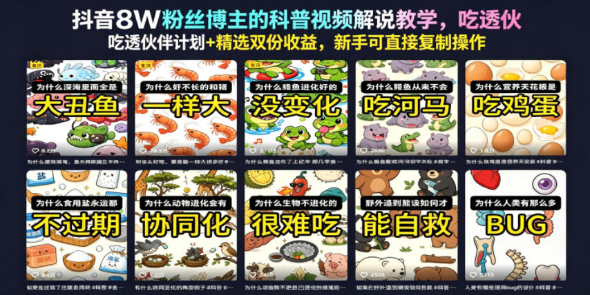 抖音8W粉丝博主的科普视频解说教学，吃透伙伴计划+精选双份收益，新手可直接复制操作-快名资源网