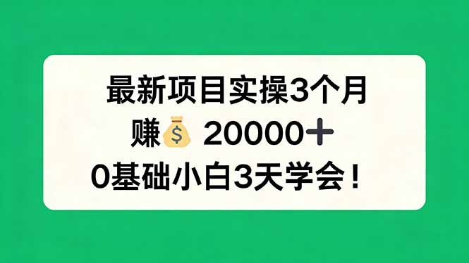 最新项目实操3个月，赚钱20000+，0基础小白3天学会！-快名资源网