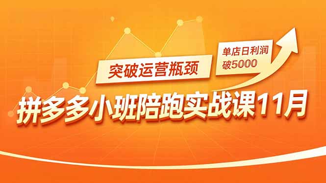 拼多多小班陪跑实战课11月，强付费矩阵、原价活动、暗券引流，突破运营瓶颈，单店日利润破5000-快名资源网