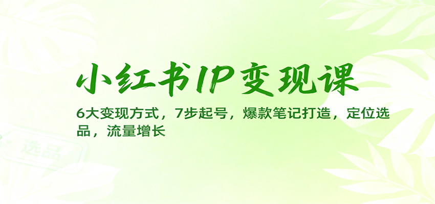 小红书IP变现课：6大变现方式，7步起号，爆款笔记打造，定位选品，流量增长-快名资源网