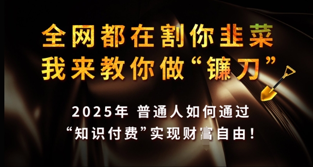 全网都在割你韭菜，我来教你做镰刀，2025年普通人如何通过 知识付费 实现财F自由【揭秘】-快名资源网
