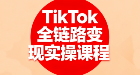 小杨老师·TikTok全链路变现实操课程-快名资源网