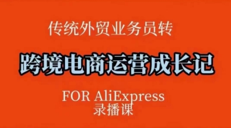 跨境电商速卖通运营课，​运营方法论+后台实操，逻辑清晰-快名资源网