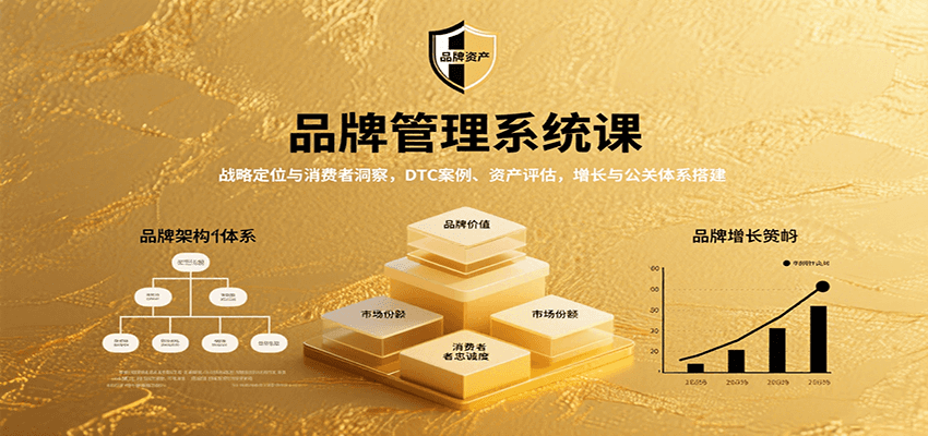 品牌管理系统课：战略定位与消费者洞察，DTC案例、资产评估，增长与公关体系搭建-快名资源网