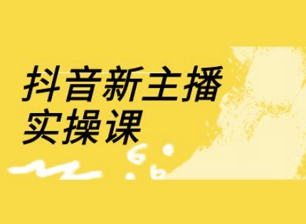 抖音新主播实操课，直播间流量运营线上实操课(18节)-快名资源网
