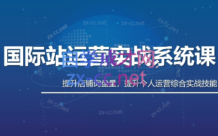 白老师·国际站运营实战系统(高质量询盘增长课)(部分更新)-快名资源网