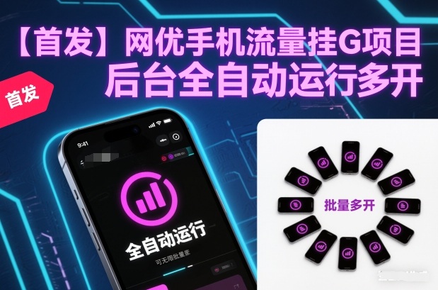【首发】网优手机流量挂G项目，后台全自动运行，可无限批量多开【揭秘】-快名资源网