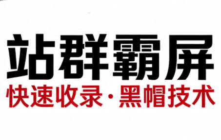 SEO野路子实战全集：快速收录、站群霸屏、黑帽技术(更新)-快名资源网