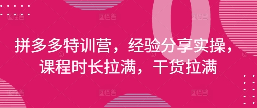 拼多多特训营，经验分享实操，课程时长拉满，干货拉满(更新25年4月)-快名资源网