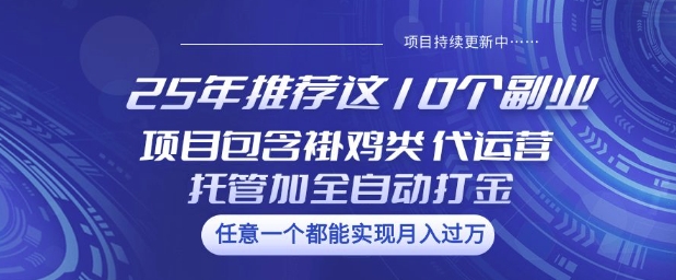 25年推荐这10个副业项目包含褂鸡类、代运营托管类、全自动打金类【揭秘】-快名资源网