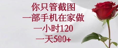 你只管截图，一部手机在家可以做，一小时120.一天5张+【揭秘】-快名资源网