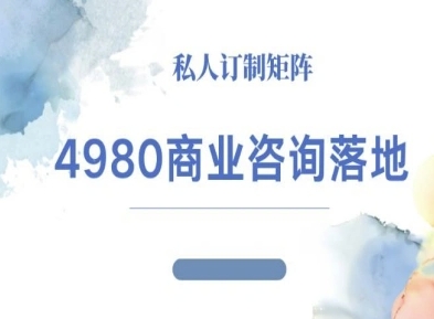 4980商业咨询师落地课程-ip运营高客单教程-青虫资源网