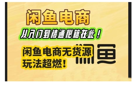 闲鱼电商实战课，从入门到精通秘籍在此，闲鱼电商无货源玩法超燃!-快名资源网