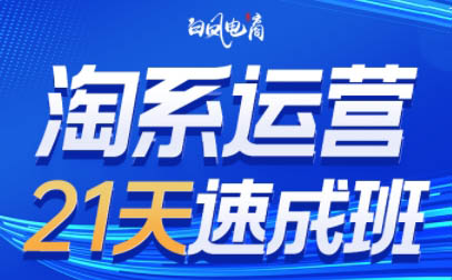 白凤电商·淘系运营21天速成班(更新6月)-快名资源网