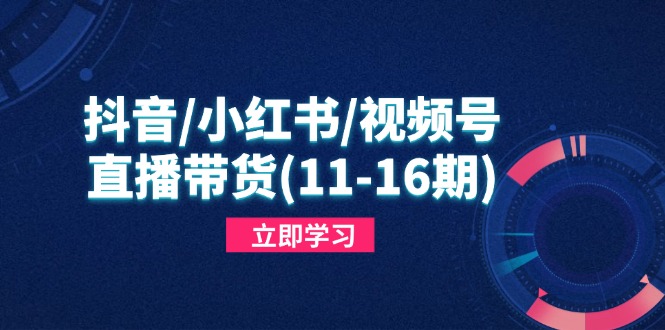 抖音/小红书/视频号/直播带货(11-16期-快名资源网