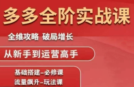 大炮·拼多多全阶实战课程(更新10月)-快名资源网