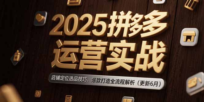 2025拼多多运营实战：店铺定位选品技巧，爆款打造全流程解析(更新6月-青虫资源网