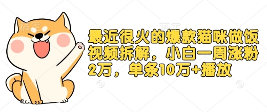 最近很火的爆款猫咪做饭视频拆解，小白一周涨粉2万，单条10万+播放(附保姆级教程)-快名资源网