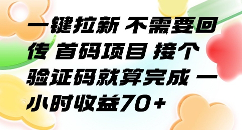 一键拉新 不需要回传 首码项目 接个验证码就算完成 一小时收益70+【揭秘】-快名资源网