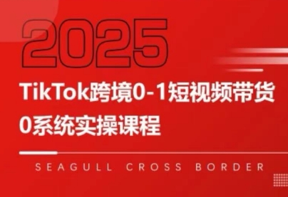 大亿老师·TikTok跨境0-1短视频带货-快名资源网