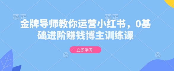 金牌导师教你运营小红书，0基础进阶赚钱博主训练课-快名资源网