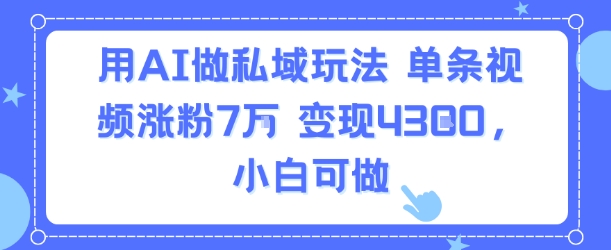 用AI做私域玩法，单条视频涨粉7W变现4.3k，小白可做-快名资源网