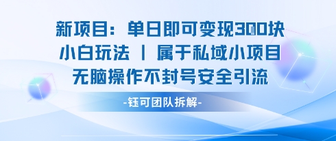 新项目单日即可变现3张的小白玩法无脑操作不封号安全引流-快名资源网