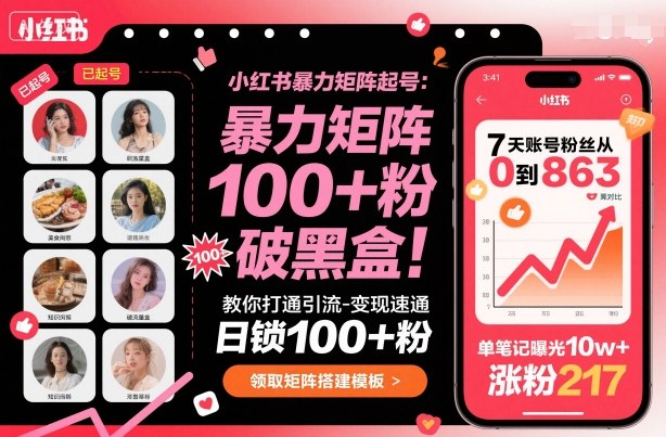 小红书暴力矩阵起号，教你打通引流-变现速通，日锁100+粉，破流量黑盒-青虫资源网