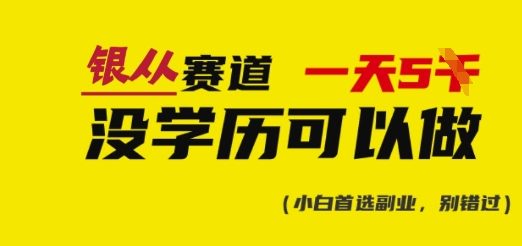 靠银从证书，日入多张，会截图就能做，直接抄答案(附：银从合集)-快名资源网