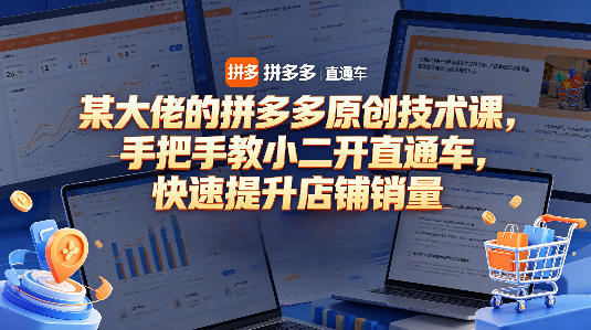 某大佬的拼多多原创技术课，手把手教小二开直通车，快速提升店铺销量-快名资源网