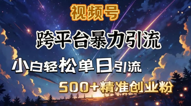 跨平台暴力引流，私域完美闭环，日引500+精准创业粉-快名资源网