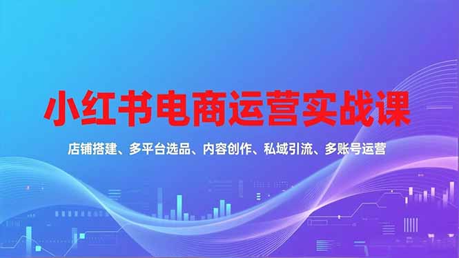 小红书电商运营实战课，店铺搭建、多平台选品、内容创作、私域引流、多账号运营等玩法-快名资源网