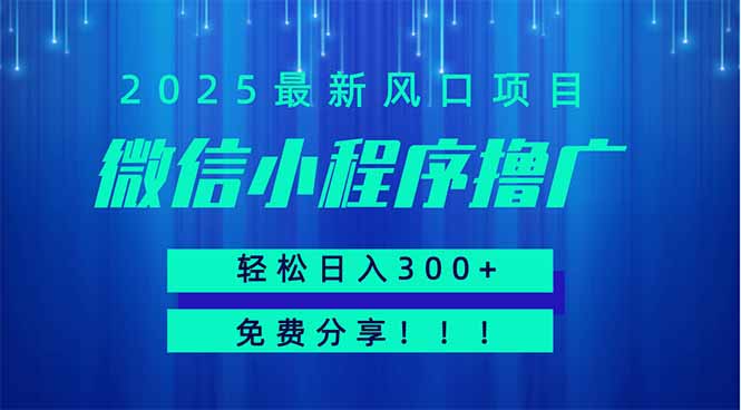 微信小程序撸广，最新风口项目，日入300+ 免费分享 可批量操作 小白可...-快名资源网