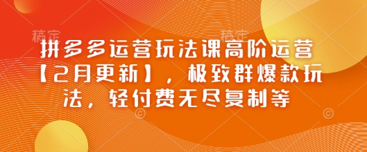 拼多多运营玩法课高阶运营【2月更新】，极致群爆款玩法，轻付费无尽复制等-快名资源网